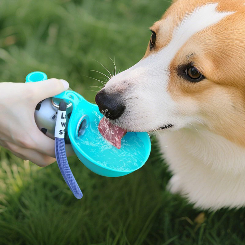 Amazon's New 304 Stainless Steel Water Kettle Round Outing Cup Sling Hook Foldableing Silicone Outdoor Dog Bowl